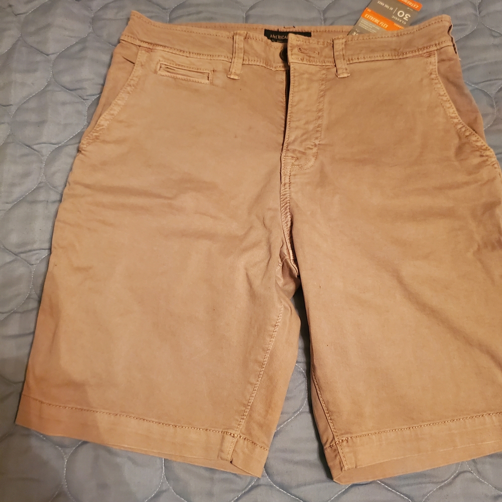 American Eagle Outfitters Men's Brown Flat Front Shorts